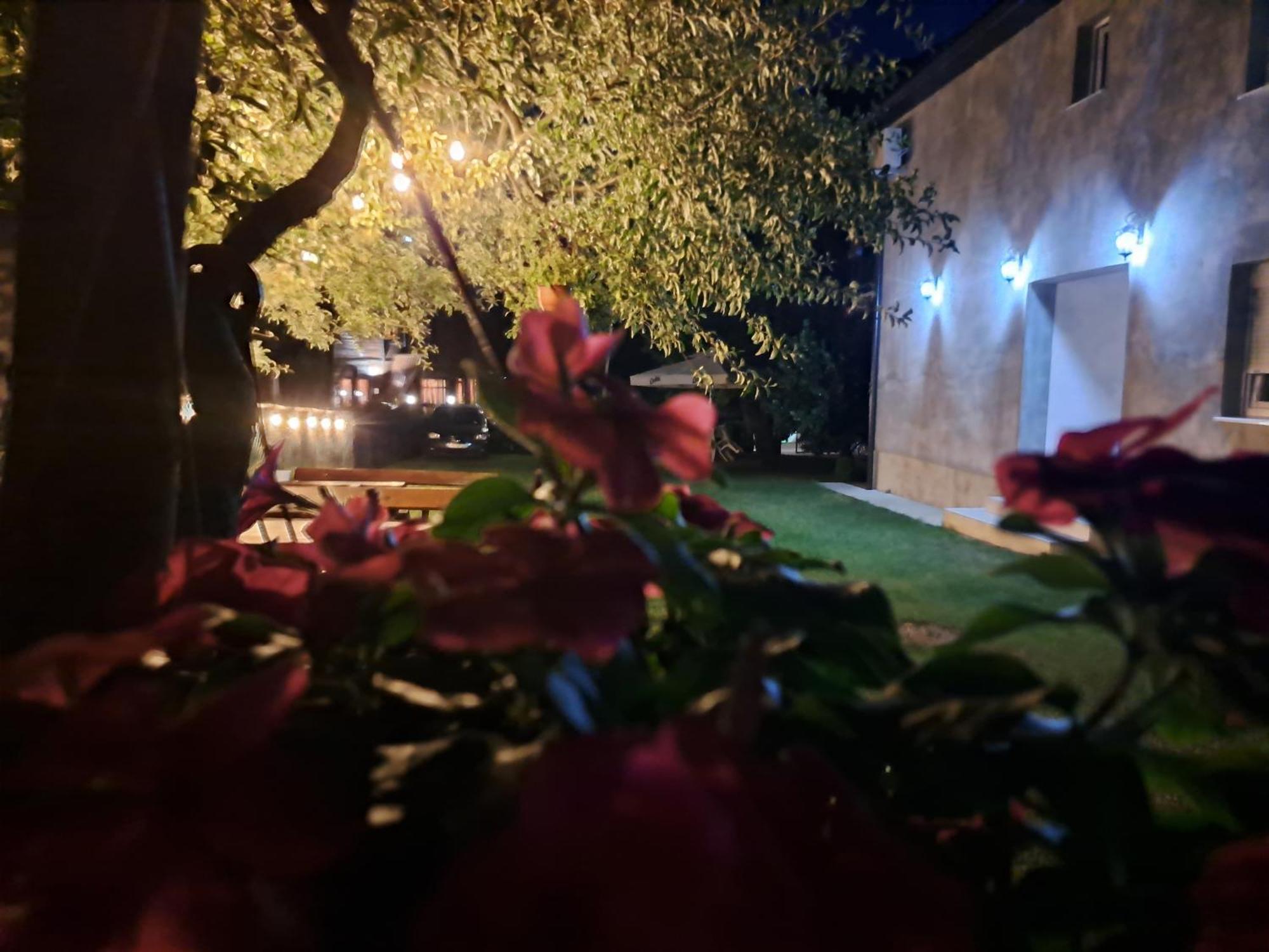 Rooms Lida & Friendly Home Plav Dış mekan fotoğraf